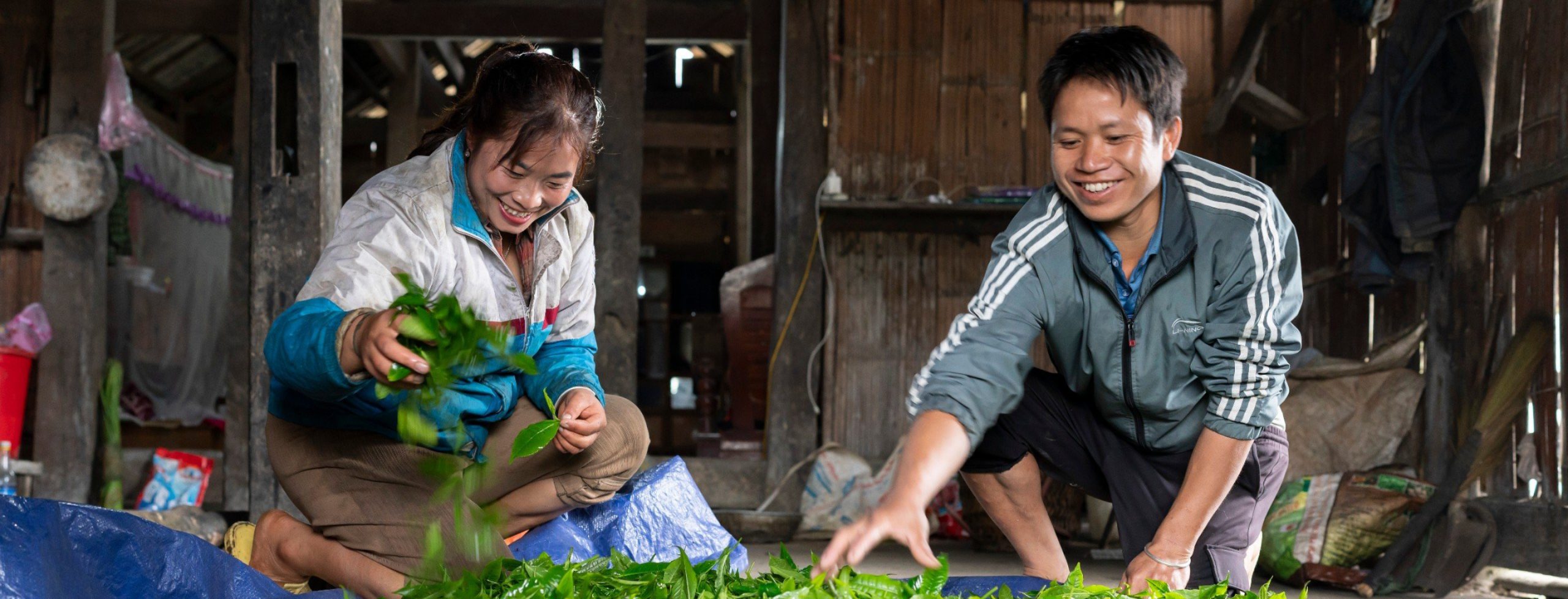 Điện Biên