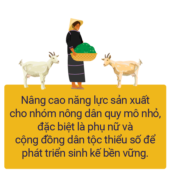 Vươn mình - kết quả đầu ra 1